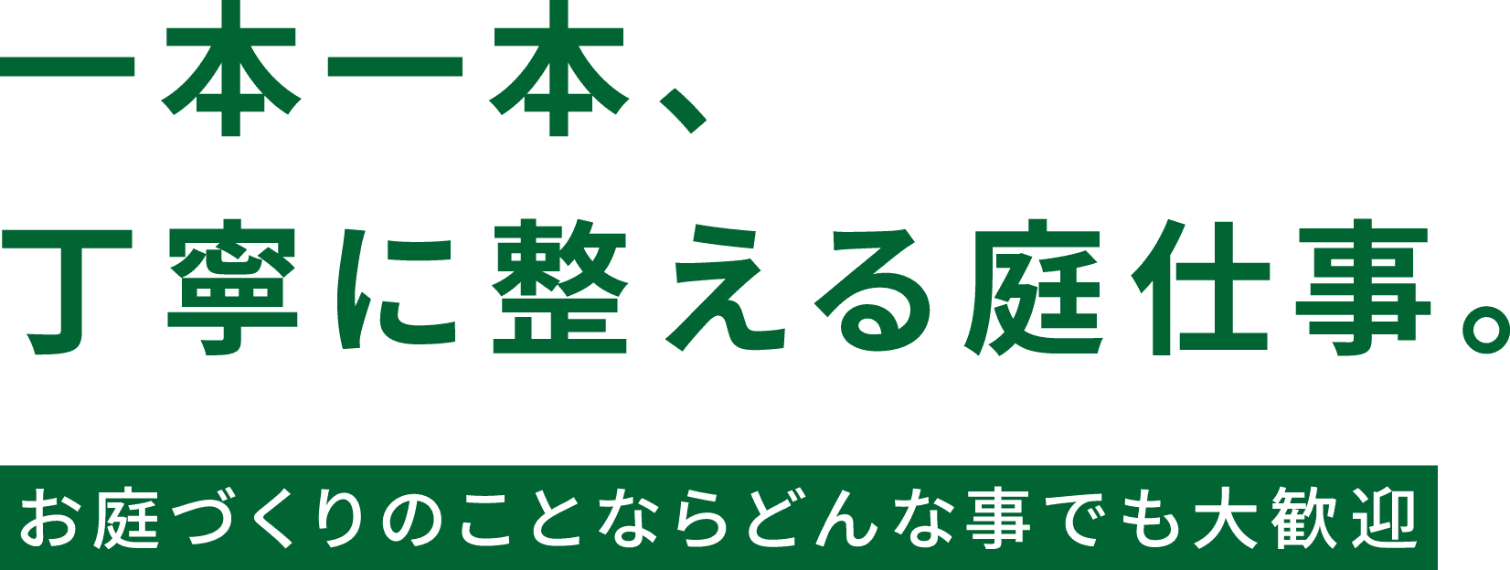 一本一本、丁寧に整える庭仕事。お庭づくりのことならどんな事でも大歓迎。石野ガーデン