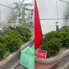 広島市南区東雲 パチンコ店 植栽メンテナンス 石野ガーデン