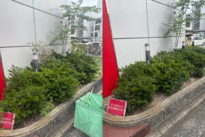 広島市南区東雲 パチンコ店 植栽メンテナンス 石野ガーデン