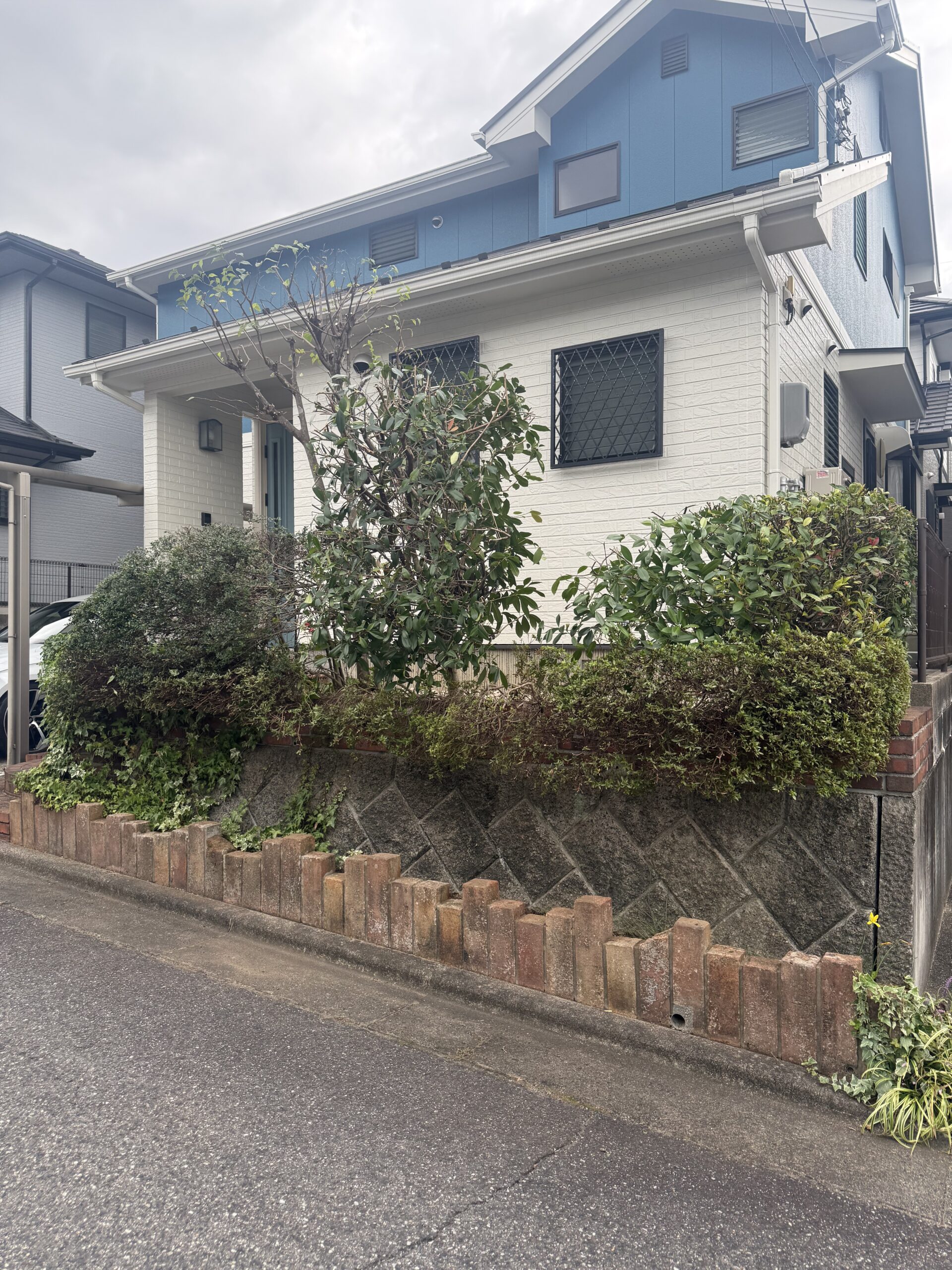 庭木・生垣剪定後のすっきりとした住宅外観（風通しと日当たりが改善されたお庭）