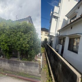 広島市安芸区 レッドロビン 伐採作業 ビフォーアフター